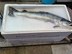 -新享乐海鲜(翠华路店)