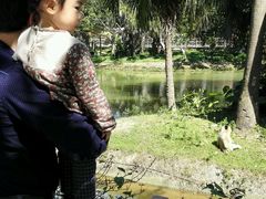 -深圳野生动物园