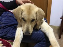 -圣宠动物医院·犬猫专科·影像中心·外科中心