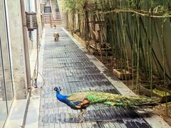 -春记潮汕牛肉火锅