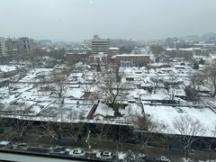 -同庆楼(金宝汇店)