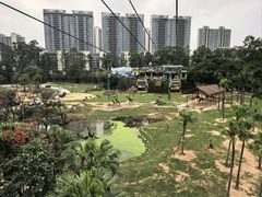 -广州长隆国际大马戏