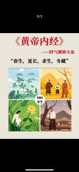 -雅曼妮spa美容养生