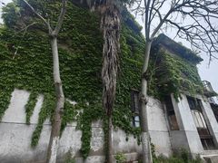 -千灯古镇
