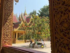 -西双版纳勐泐文化旅游区