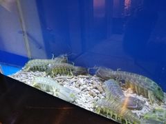 -四季火锅酒家(新濠影汇店)