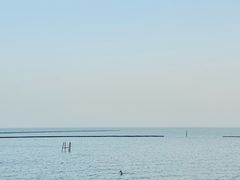 -贡湖湾湿地公园