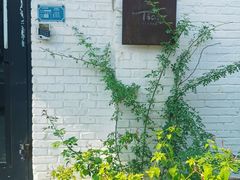 -Tian品