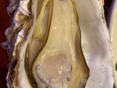 -千岛蚝高压锅生蚝·人参火锅(白云万达店)