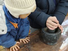 -呀路古热带植物园