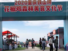 -铁山坪森林公园