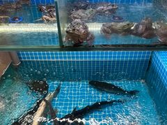 -望江门小龙虾·烧烤(九堡店)