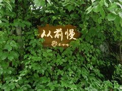 -火炉山森林公园