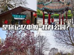 -洛阳市牡丹公园
