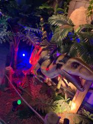 -恐龙探索乐园(磁器口店)