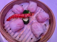 -和苑·精致粤菜(珠江新城店)