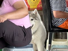 -小赖鱼馆