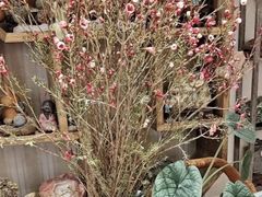 -Rabbit Cafe私房西餐甜点咖啡(栖霞路店)