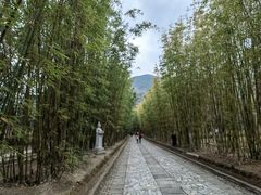 -蝴蝶泉公园