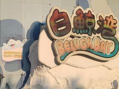 -海合安武汉极地海洋公园