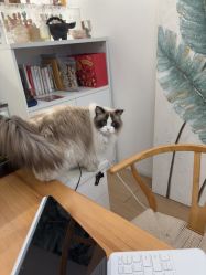 点击看大图 -Sugar苏格婚礼策划工作室