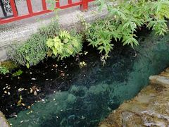 -神农架香溪源景区