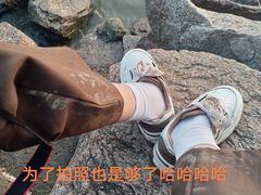 -深圳湾公园(南山区)