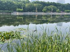 -后襄河公园