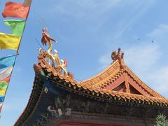 -大召无量寺