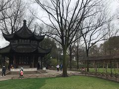 -沈记青团