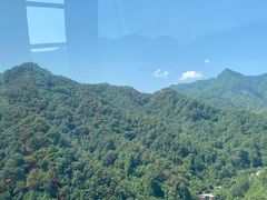 -栾川竹海野生动物园