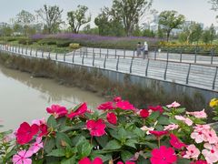 -上海植物园-4号门售票处