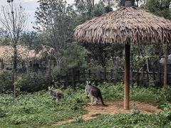 -云南野生动物园