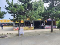 -日照海滨国家森林公园