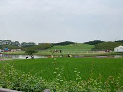 -迪茵湖田家舍生态农场