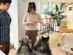 -李小姐の猫咖啡馆(五角场店)
