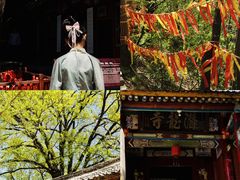-少华山国家森林公园