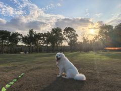 -上海海湾国家森林公园