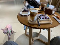 -藏猫猫咖啡主题馆(中央大道店)