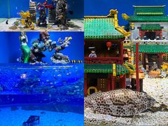 -上海海昌海洋公园