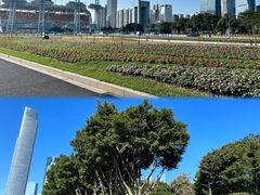 -海心沙亚运公园