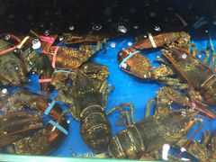 -神洲四海大酒楼(王府井澳门中心店)