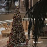cafe clark《棕榈泉》🤎