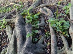 -海峡创意产业园