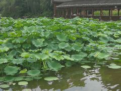 -龙头寺公园