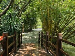 -大湾区中央湿地公园