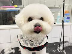 -1013 PET SHOP 宠物商店(近铁城市广场店)