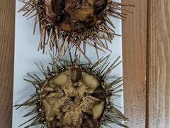 -海胆小馆(东北水饺·春柳店)