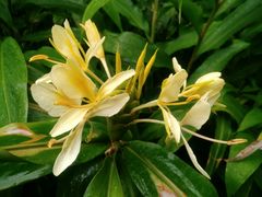 -苏州河梦清园环保主题公园