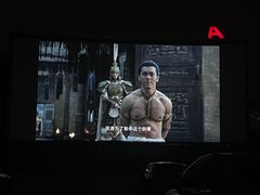 -枫花园汽车电影院(朝阳公园店)